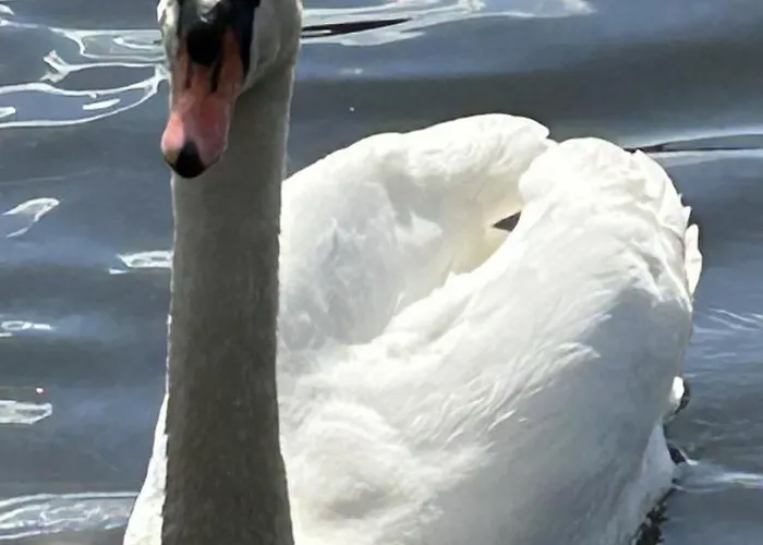 Le Temps D Pause Horská chata